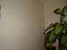 Peinture stuco veneciano 001_600